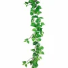 Kultaköynnös 125 cm