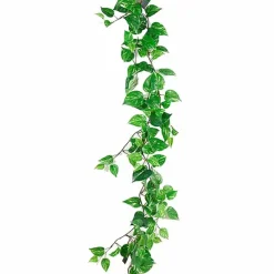 Kultaköynnös 125 cm