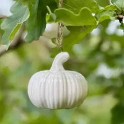 Kurpitsakoriste roikkuva uurrettu valkoinen 5,5 cm