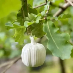 Kurpitsakoriste roikkuva uurrettu valkoinen 6,5 cm