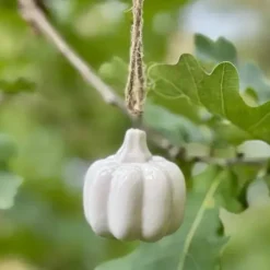 Kurpitsakoriste roikkuva valkoinen 3,5 cm