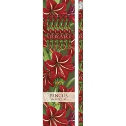Kynäsetti Amaryllis