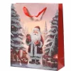 Lahjakassi Joulupukki 24 cm
