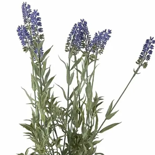 Laventeli tekokukka ruukussa 45 cm