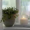 LED-kynttilä lasiastiassa kirkas 10 cm