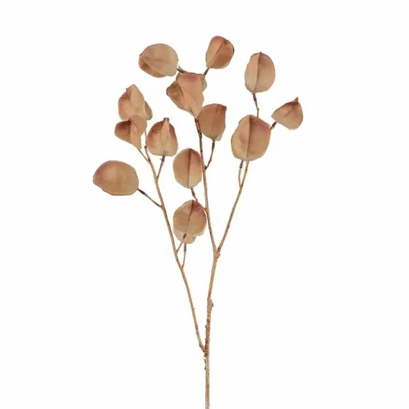 Lyhtykoisonoksa ruskea 60 cm