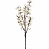 Marjaoksa valkoinen 35 cm