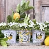 Metalliruukkusetti Lemons 3 ruukkua