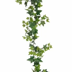 Murattiköynnös 120 cm