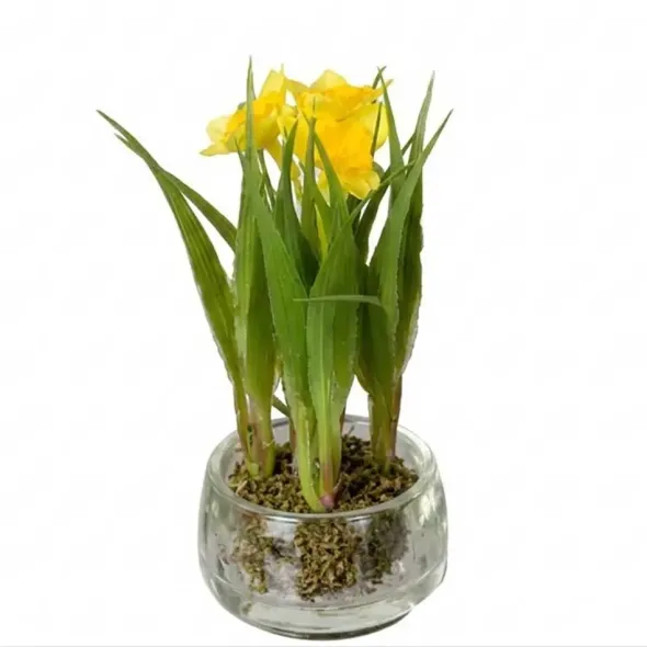 Narsissi tekokukka lasiruukussa – kaksi väriä