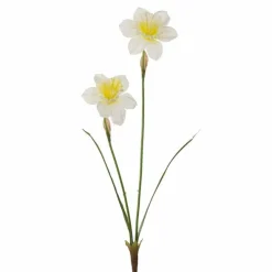 Narsissi valkoinen 58 cm