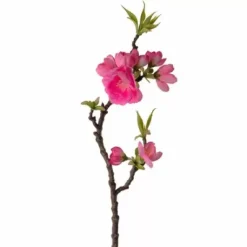 Omenankukkaoksa 40 cm – kaksi väriä