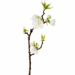 Omenankukkaoksa 40 cm – kaksi väriä