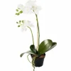 Orkidea tekokukka 45 cm valkoinen