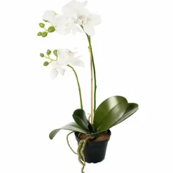 Orkidea tekokukka 45 cm valkoinen