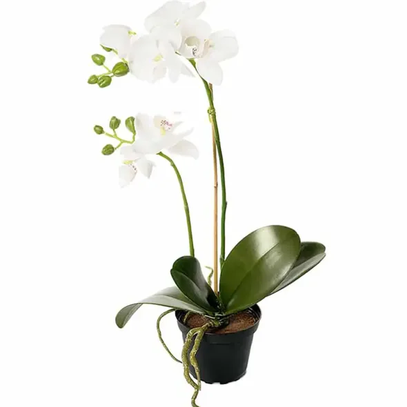 Orkidea tekokukka 45 cm valkoinen