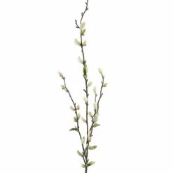 Pajunkissaoksa 85 cm