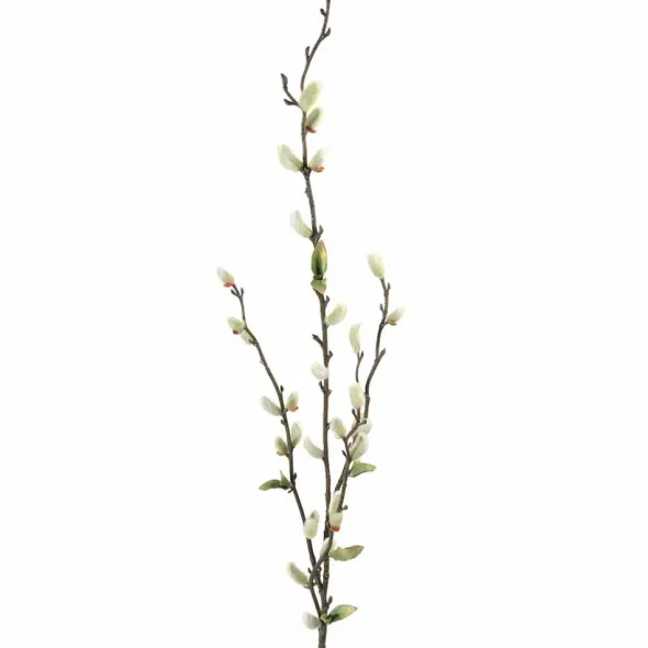 Pajunkissaoksa 85 cm