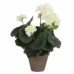 Pelargonia ruukussa kermanvalkoinen 34 cm