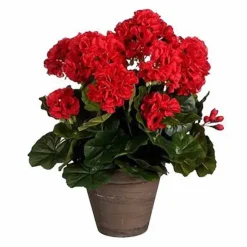 Pelargonia ruukussa punainen 40 cm