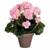 Pelargonia ruukussa vaaleanpunainen 40 cm