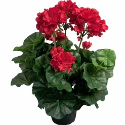 Pelargonia tekokukka 35 cm – useita värejä