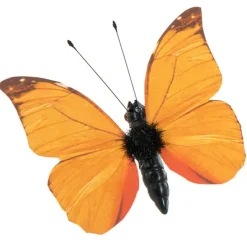Perhoskoriste klipsillä oranssi