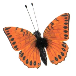 Perhoskoriste klipsillä oranssi