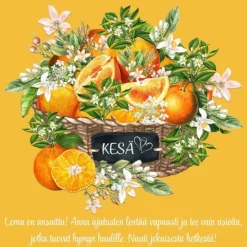 Postikortti Loma on ansaittu!