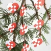 Punossydän köynnös 2 m