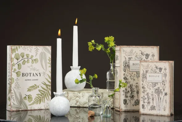 Rasia kirjan mallinen Botany