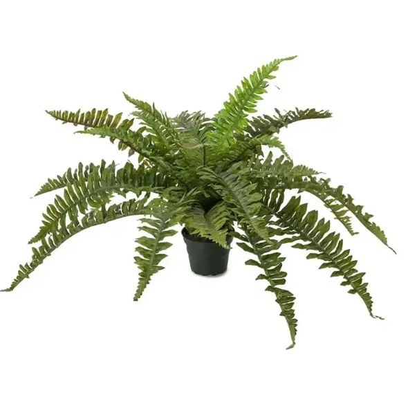 Saniainen tekokasvi 35 cm