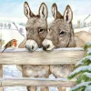 Servetti Aasiystävät