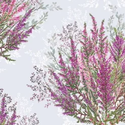 Servetti Calluna