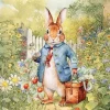 Servetti Herra Pupu