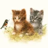 Servetti Kitten Friend