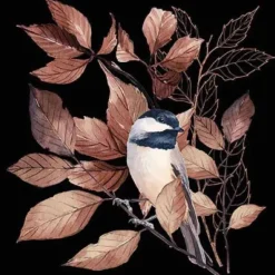 Servetti Lovely chickadee
