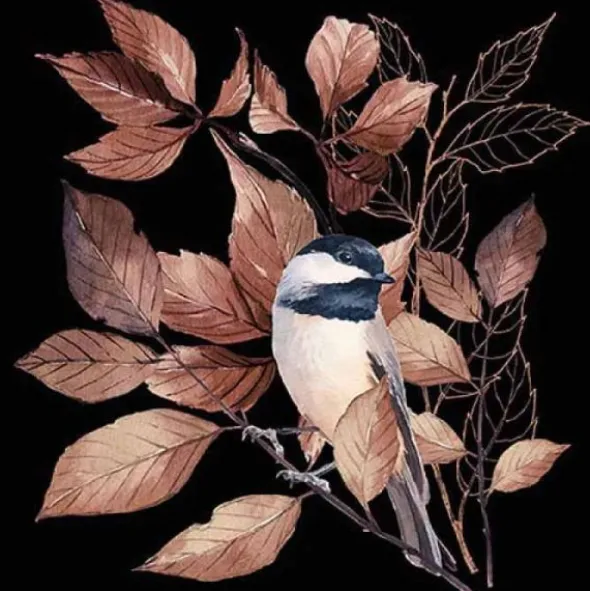 Servetti Lovely chickadee