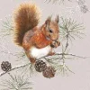 Servetti Orava puussa
