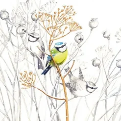 Servetti Sweet Little Bird