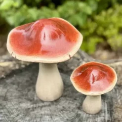 Sienikoriste 12 cm punaruskea