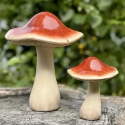 Sienikoriste 12 cm punaruskea