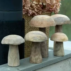 Sienikoriste 12,5 cm puuta