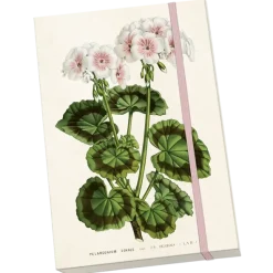 Sköna Ting Muistikirja Pelargonia