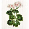 Sköna Ting Pelargonia tiskirätti