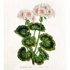 Sköna Ting Pelargonia tiskirätti