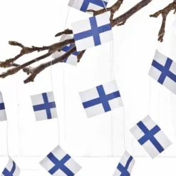 Suomen lippu -köynnös 4 m