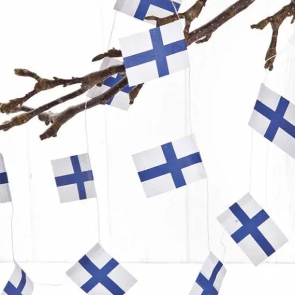 Suomen lippu -köynnös 4 m