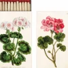 Takkatikut 45 kpl Pelargonia
