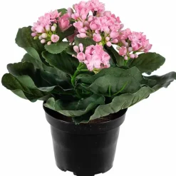 Tulilatva tekokukka 20 cm – useita värejä